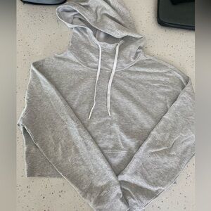 NWOT Zelle Cropped Hoodie